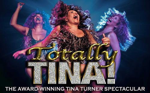 Poster for Totally Tina