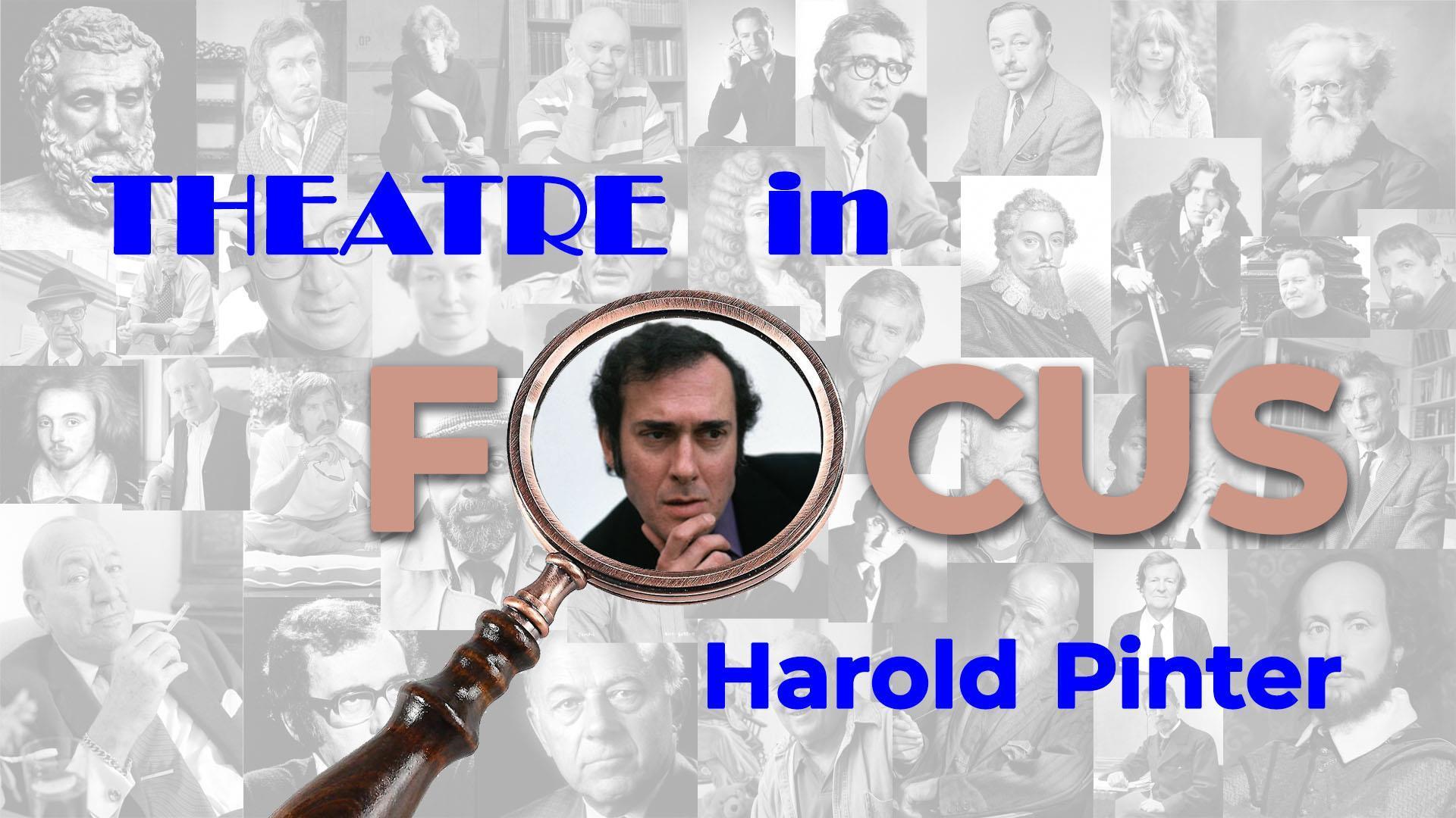 Theatre In Focus - Harold Pinter