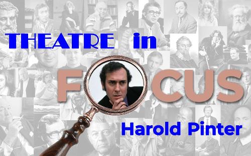 Poster for Theatre In Focus - Harold Pinter