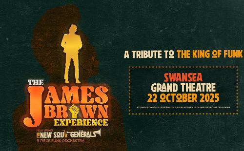 Poster for The James Brown Experience