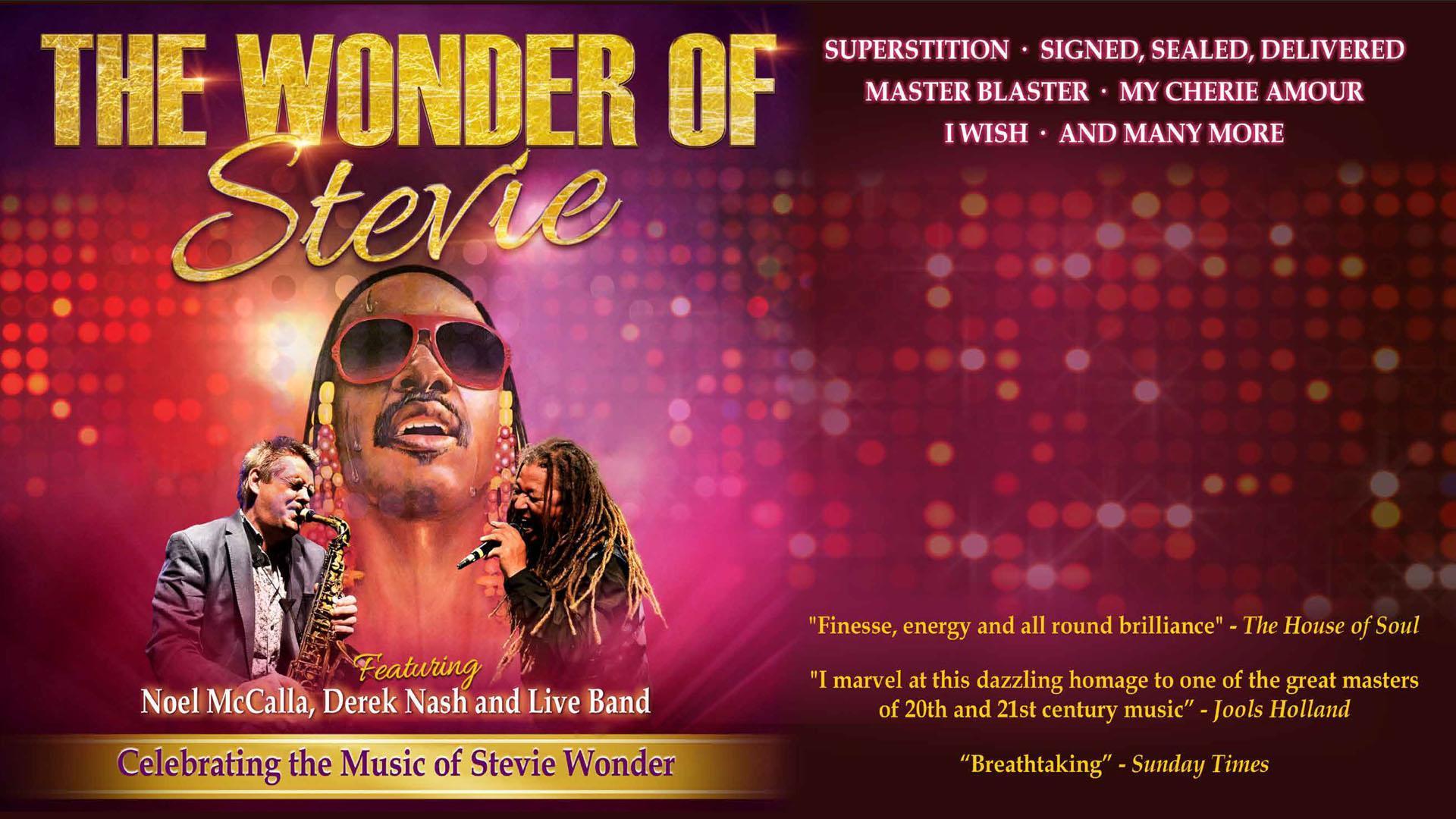 The Wonder of Stevie 